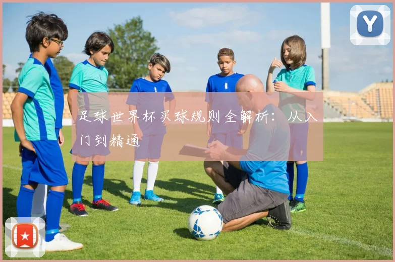 足球世界杯买球规则全解析：从入门到精通